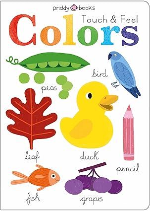 Learn &amp; Explore: Colors Board Book