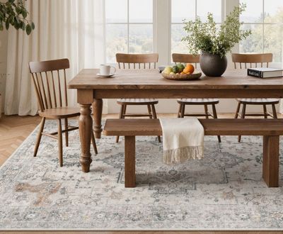 Pink Bungalow 9'x12' Roehit Beige/Brown Area Rug