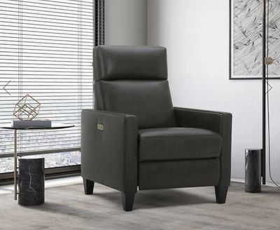 *Imperfect* Gilman Creek Leather Power Recliner