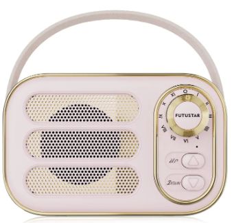 Futustar DW13 Portable Wireless Speaker