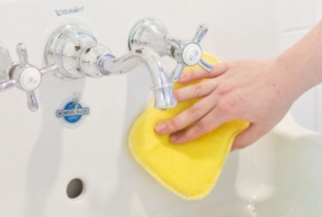 Sponge Euroscrubby