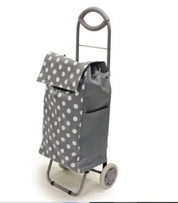 Rolling Shopping Cart
