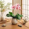Miracliy Phalaenopsis Orchid Leaves Fake Leaves Real Latex Touch Plants - Set of 3