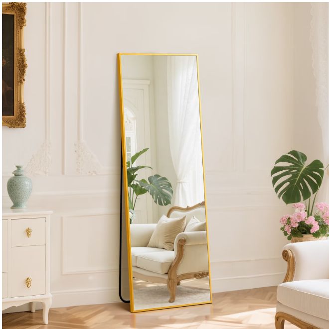 EDX Gold 59"x16" Rectangular Full Length Mirror