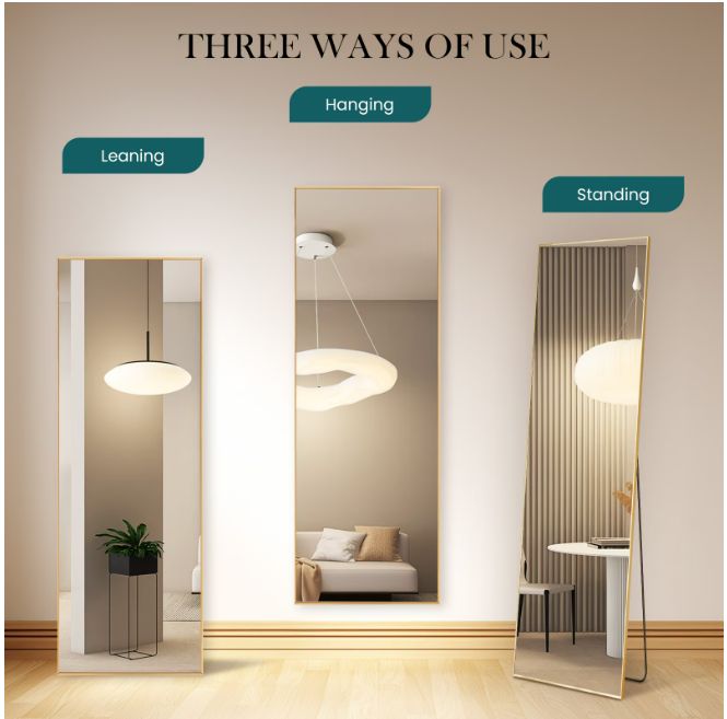 EDX Gold 59"x16" Rectangular Full Length Mirror