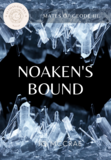 Noaken&#39;s Bound