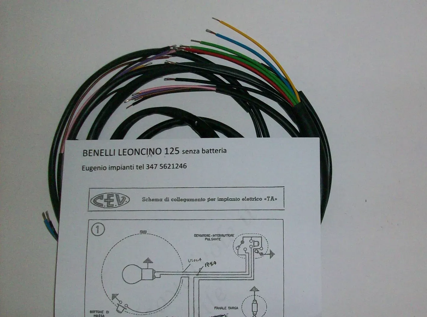 ELECTRICAL WIRING BENELLI LEONCINO 125 SENZA BATTERIA