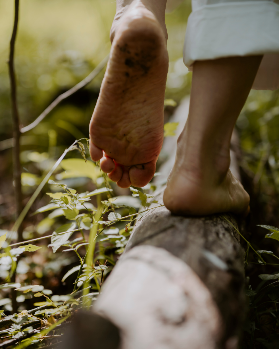 Waldbaden für Körper &amp; Seele – Entspannung in der Natur für Erwachsene am Mittwoch, den 30.07.2025 / Dinslaken