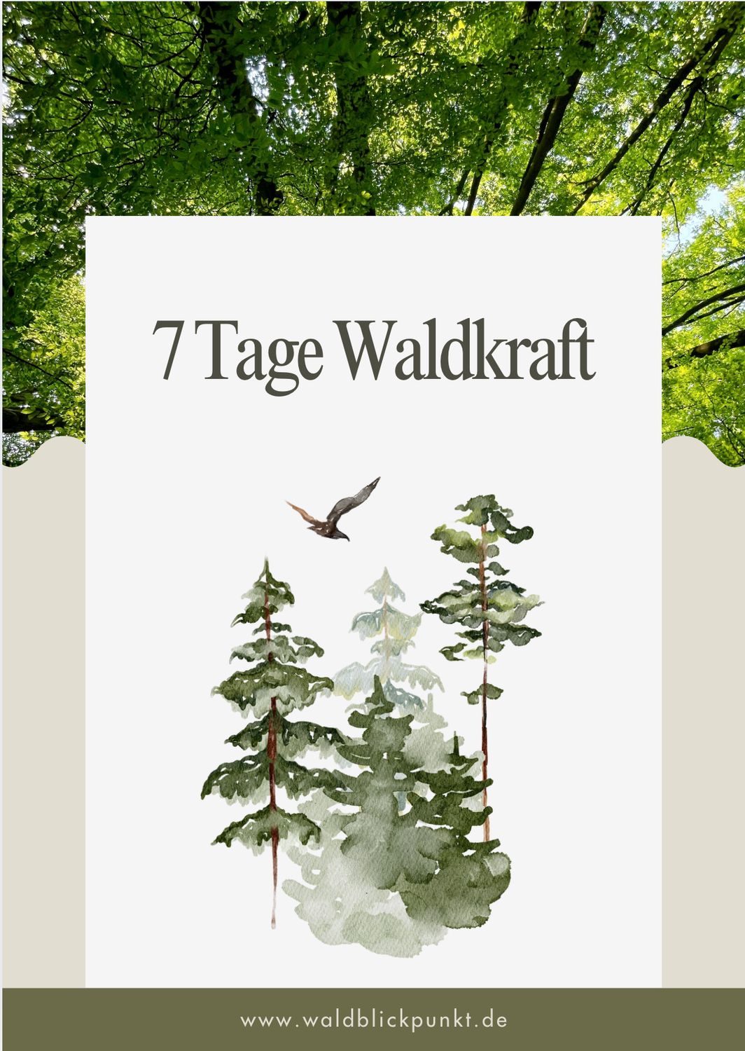 7 Tage Waldkraft, digitaler Kurs