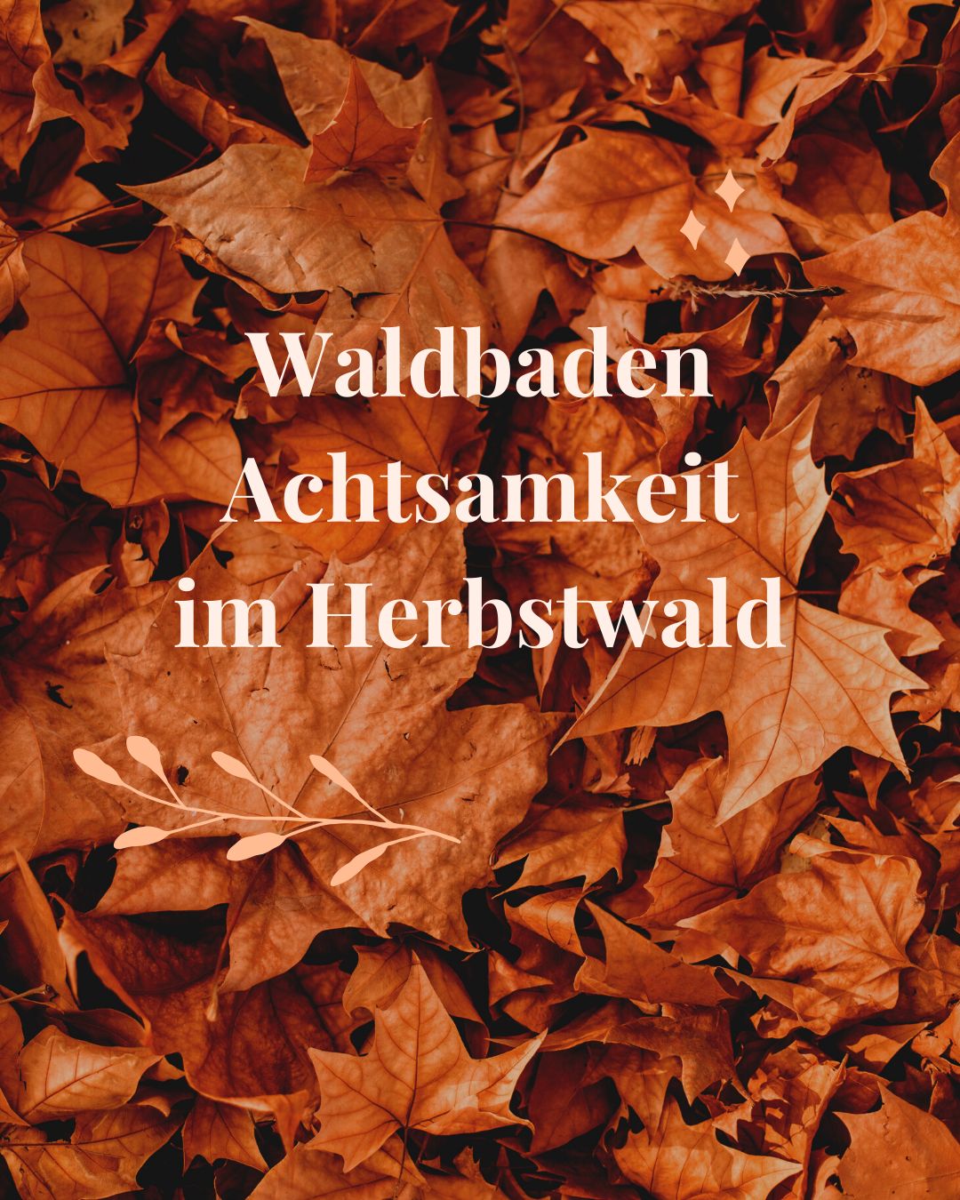 Waldbaden &amp; Achtsamkeit im Herbstwald, Freitag den 17.10.2025