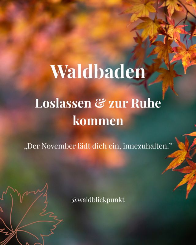 „Waldbaden – Loslassen &amp; zur Ruhe kommen“ am Mittwoch, den 5.11.2025 um 14:00-16.30 Uhr