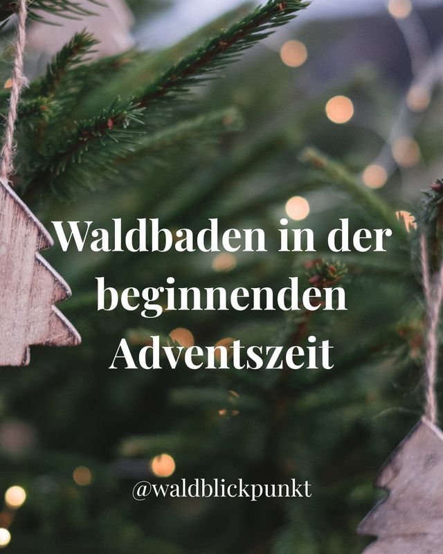 Waldbaden in der beginnenden Adventszeit am Samstag, den 22.11.2025 von 11:00-13:30