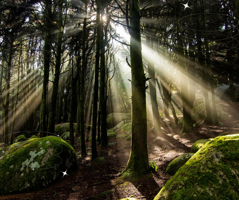 Waldbaden am Freitag, den 24.04.2026 um 16:00 Uhr