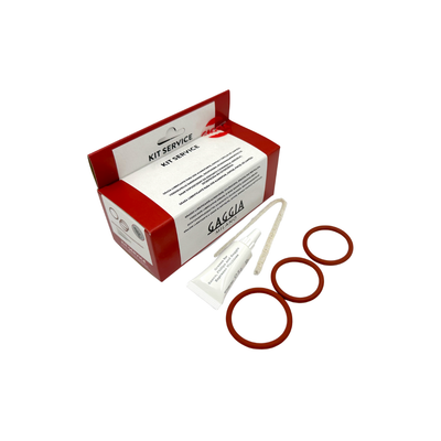 Brew Group Maintenance Kit for Saeco/Philips/Gaggia