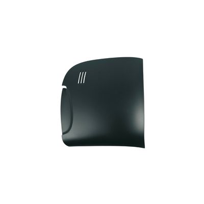 Brew Group Door for Saeco XSmall (Black) Brew Group Door for Saeco XSmall (Black)