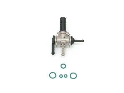 Saeco Steam Water Valve Seal Kit Odea, Talea