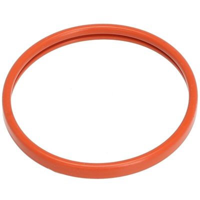 Portafilter gasket Gran Gaggia, Saeco Poemia