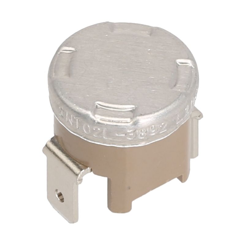 DeLonghi Thermostat 105 °C