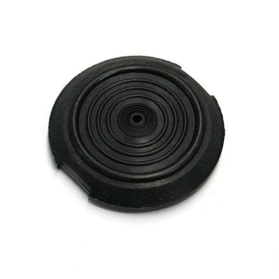 Saeco Portafilter Gasket Poemia