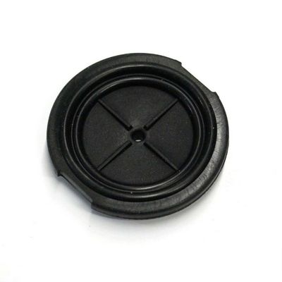 Saeco Portafilter Gasket Poemia