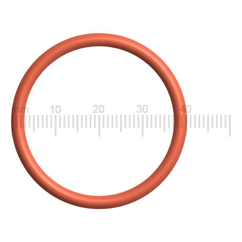 Saeco Block Piston Seal 0340-30, GranBaristo