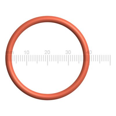 Saeco Block Piston Seal 0340-30, GranBaristo