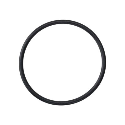 Gasket for Thermoblock Gaggia Classic, New Classic Evo