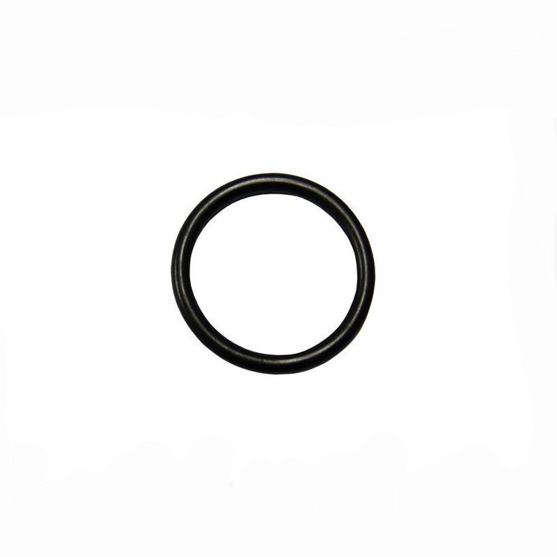 Saeco Solenoid Valve Seal 4.5x1.5 Xelsis SM75**