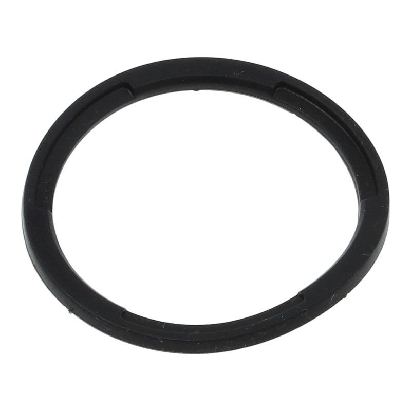 DeLonghi Group Seal, Large EC68*, EC82*