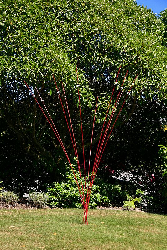 Windsticks