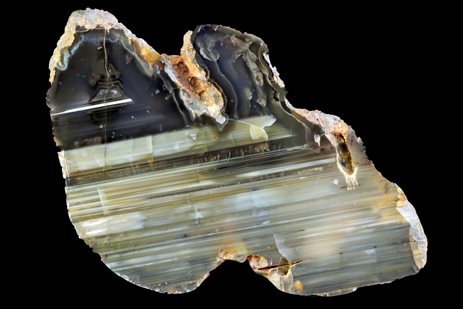 Rare Black charcoal Agate, water level banding and concentric fortification top