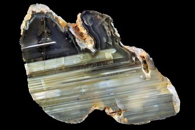 Rare Black charcoal Agate, water level banding and concentric fortification top