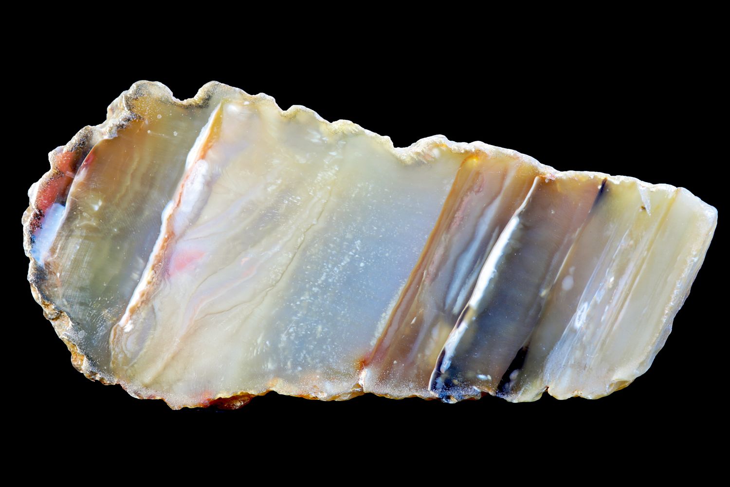 Picture Agate, waterline banded