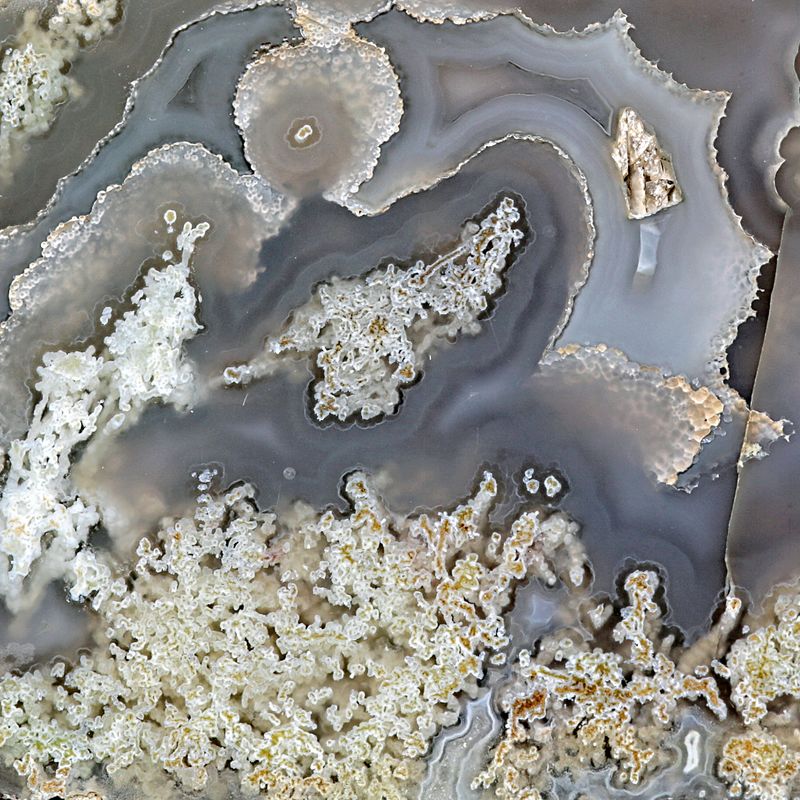 Moss Agate with moss fortification