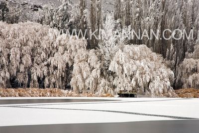 Frozen Lake Patterns