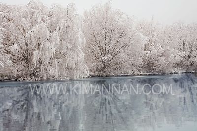Winter Wairepo Arm Lake