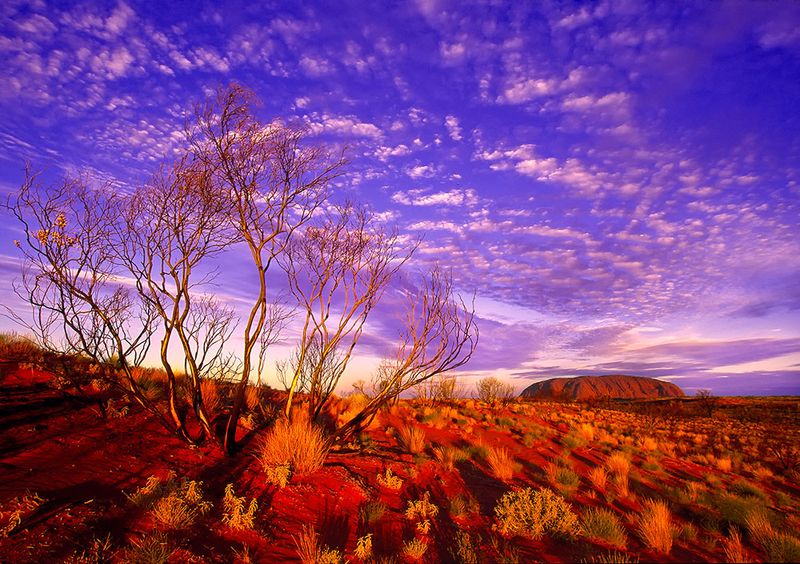 AUSTRALIA