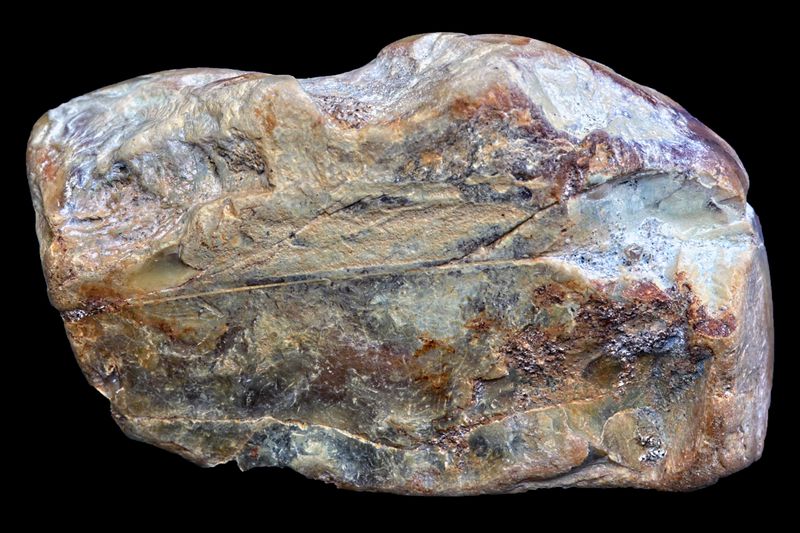 Magpie Agate