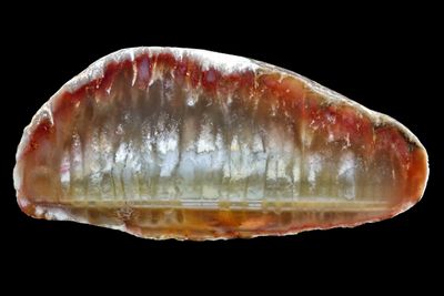 Plume Agate
