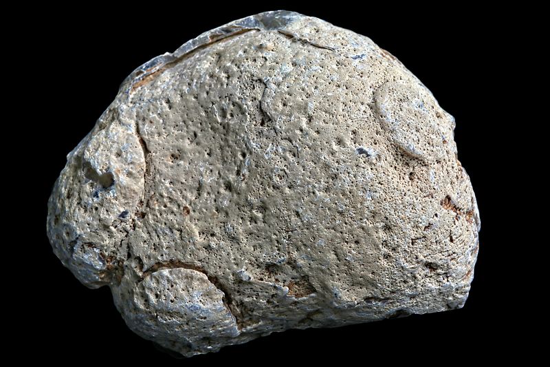 Fortification Agate with small geode