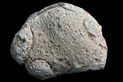Fortification Agate with small geode