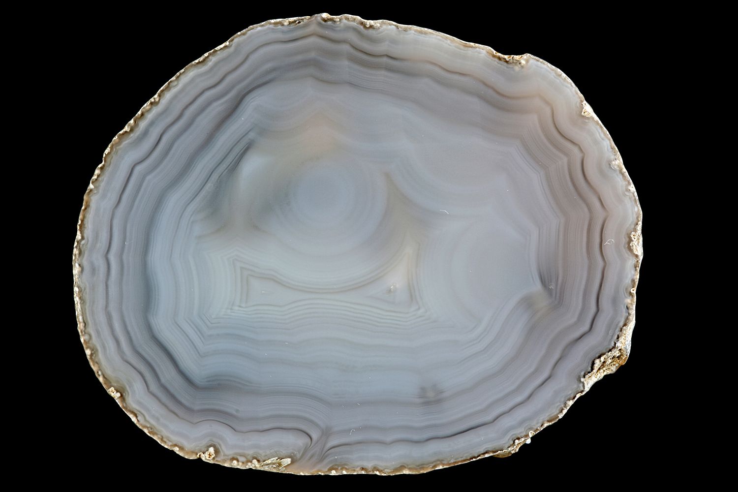 Concentric Fortification Agate Slice