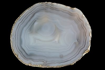 Concentric Fortification Agate Slice