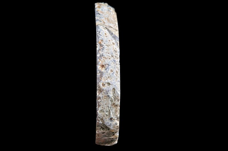 Concentric Fortification Agate Slice