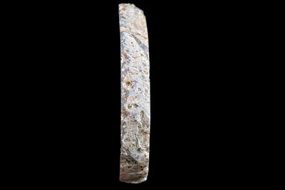 Concentric Fortification Agate Slice