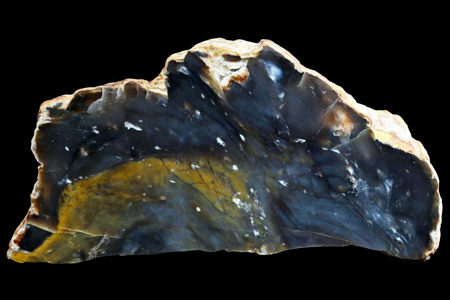 Agatized Wood.  Very Large Specimen (4.3kg)  RARE