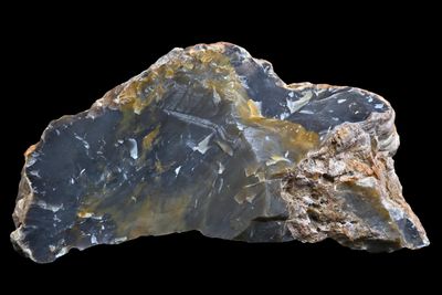 Agatized Wood.  Very Large Specimen (4.3kg)  RARE