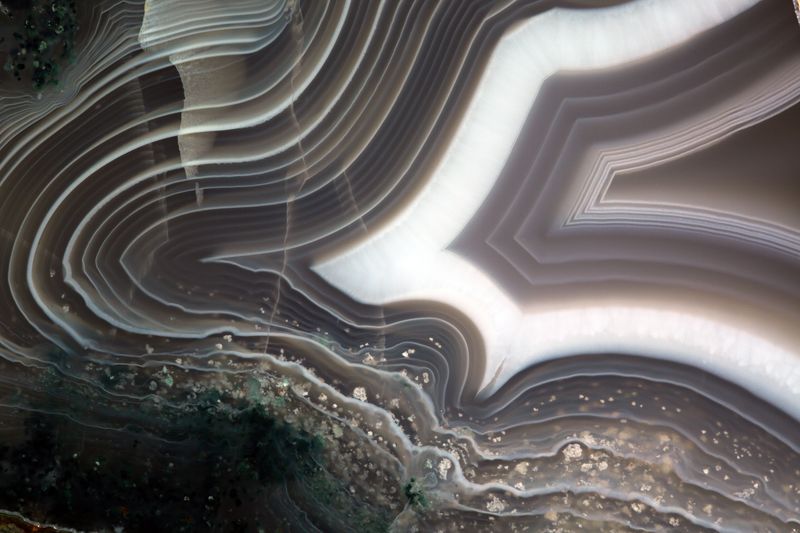 Bold Fortification Moss Agate