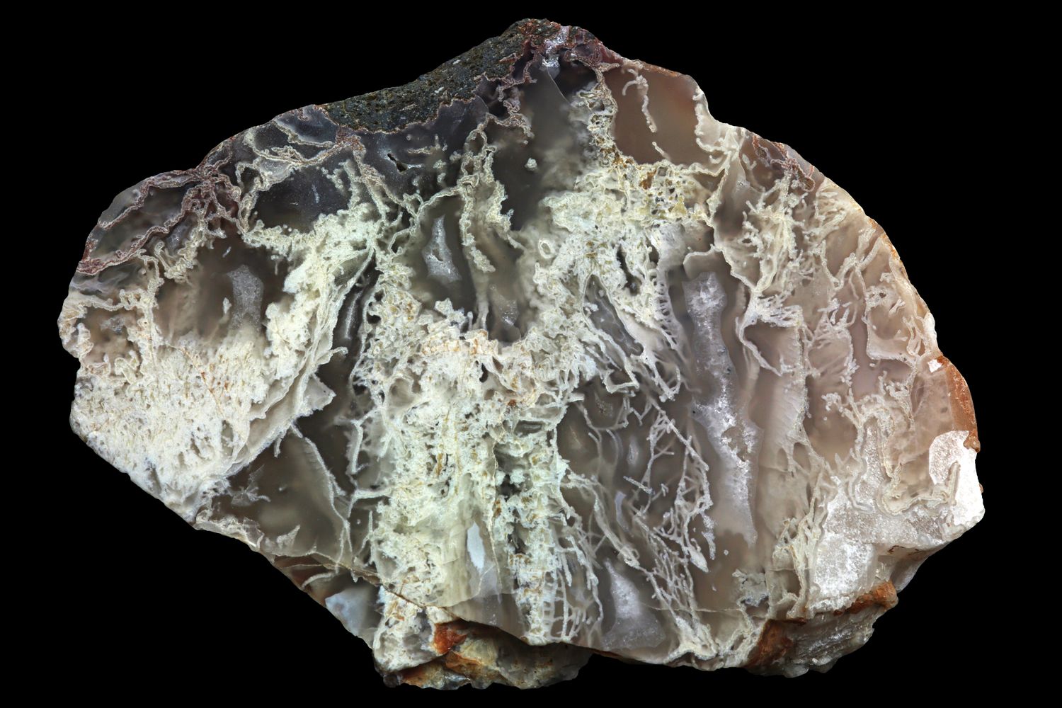 Moss Agate, with tendrils of white Moss