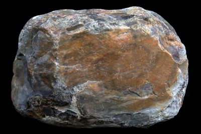 Petrified Forrest Floor